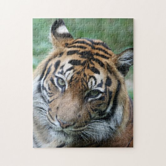 Tijger 013 legpuzzel (Verticaal)
