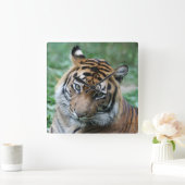 Tijger 013 vierkante klok (Huis)