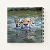 Tijger 028 notitieboek (Achterkant)