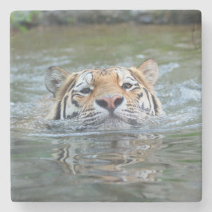 Tijger 028 stenen onderzetter