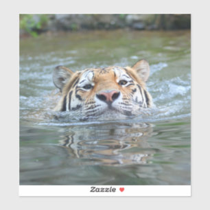 Tijger 028 sticker