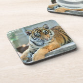 Tijger 034 bier onderzetter (Linkerzijde)