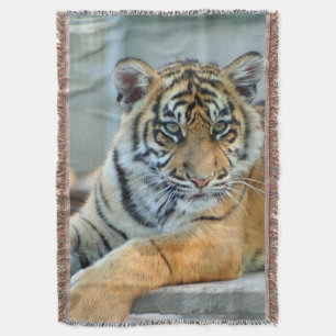 Tijger 034 deken