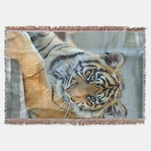 Tijger 034 deken (Voorkant)