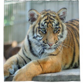 Tijger 034 douchegordijn (Voorkant)