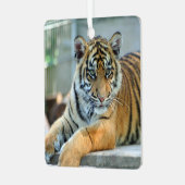 Tijger 034 metalen ornament (Voorkant links)