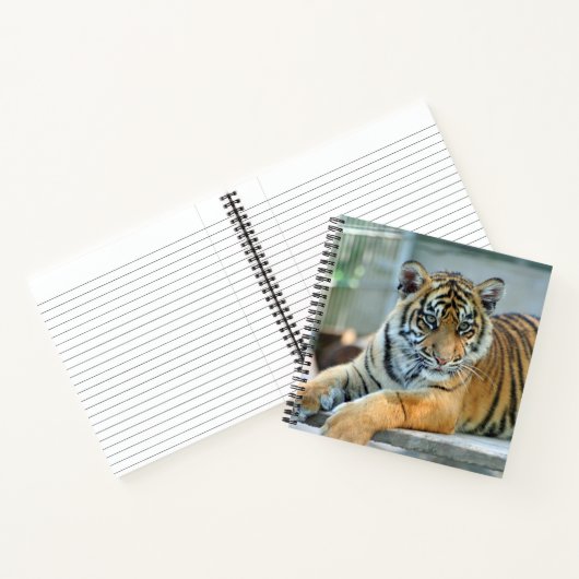 Tijger 034 notitieboek (Binnen)