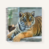 Tijger 034 notitieboek (Voorkant)