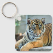 Tijger 034 sleutelhanger (Voorkant)