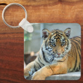 Tijger 034 sleutelhanger (Voorkant)