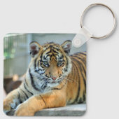 Tijger 034 sleutelhanger (Achterkant)