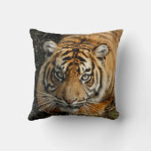 Tijger 037 kussen (Achterkant)