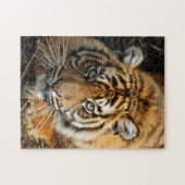 Tijger 037 legpuzzel (Horizontaal)