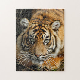 Tijger 037 legpuzzel