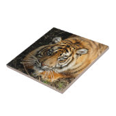 Tijger 037 tegeltje (Zijkant)
