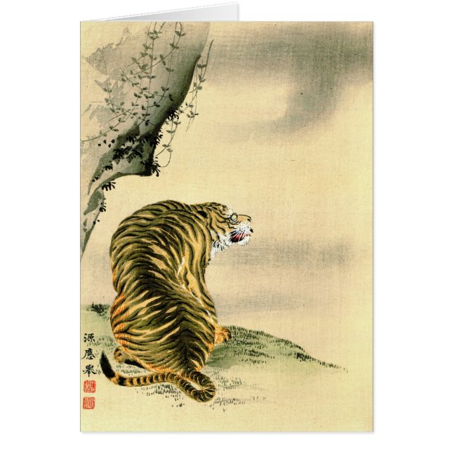 Tijger 1870 (Voorkant)