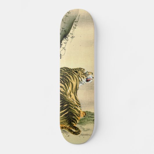 Tijger 1870 skateboard (Voorkant)