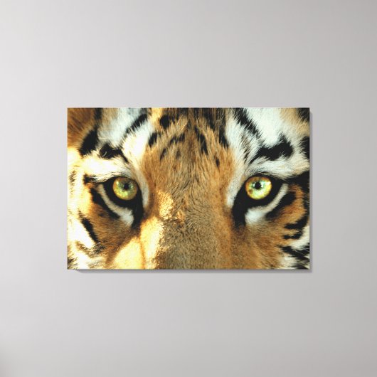 Tijger 1 - Gewikkeld Canvas Afdruk (Voorkant)