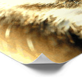 Tijger 1 - Poster (Hoek)