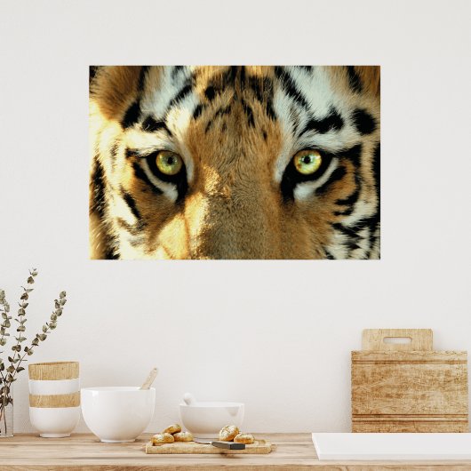 Tijger 1 - Poster (Keuken)