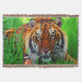 Tijger 1-schroefband deken (Voorkant)