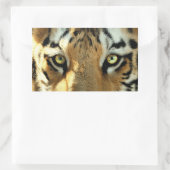 Tijger 1 - Sticker (Tas)