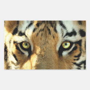 Tijger 1 - Sticker