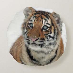 Tijger_2015_0108 Rond Kussen