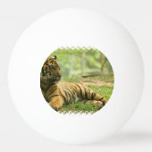 tijger-28 pingpongbal (Achterkant)