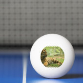tijger-28 pingpongbal (Net)