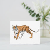 Tijger 2 briefkaart (Staand voorkant)
