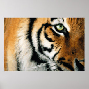 Tijger 2 - Poster