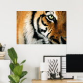 Tijger 2 - Poster (Thuiskantoor)