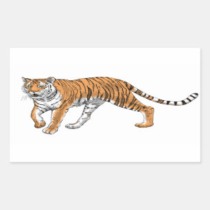 Tijger 2 rechthoekige sticker