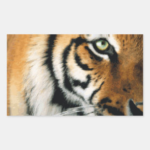 Tijger 2 - Sticker