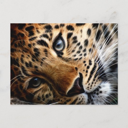 Tijger 3 - Briefkaart (Voorkant)