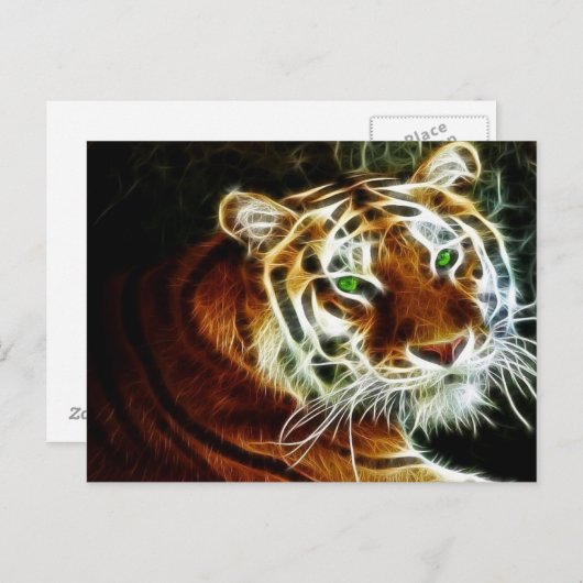 Tijger 3 briefkaart (Voorkant / Achterkant)