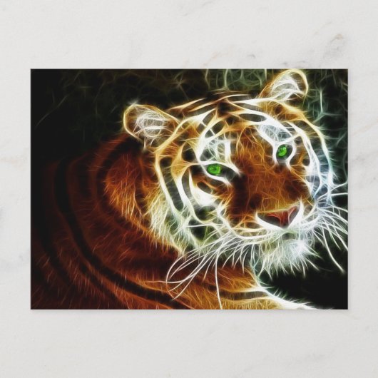 Tijger 3 briefkaart (Voorkant)