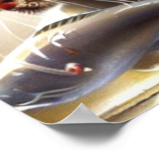 Tijger (3) Wilde kat Poster (Hoek)