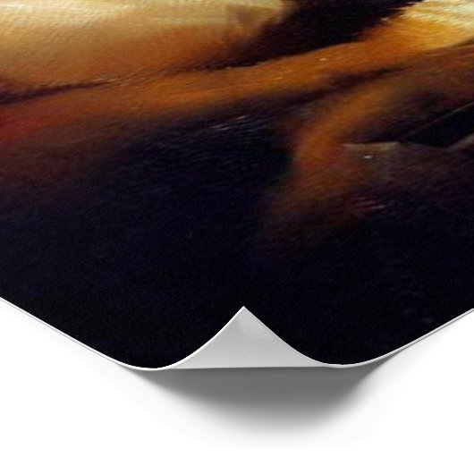 Tijger (8) Wilde kat Poster (Hoek)