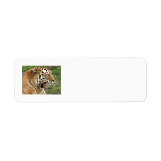 Tijger Adresetiketten Etiket (Voorkant)