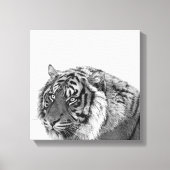 Tijger afrikaans dier foto zwart-wit canvas afdruk (Voorkant)