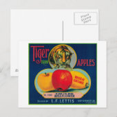 Tijger Apple Crate LabelWatsonville, CA Briefkaart (Voorkant / Achterkant)