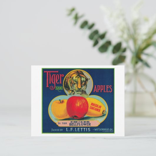 Tijger Apple Crate LabelWatsonville, CA Briefkaart (Staand voorkant)