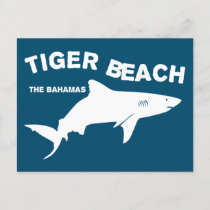 Tijger Beach - De Bahama's Duiken met haaien Briefkaart