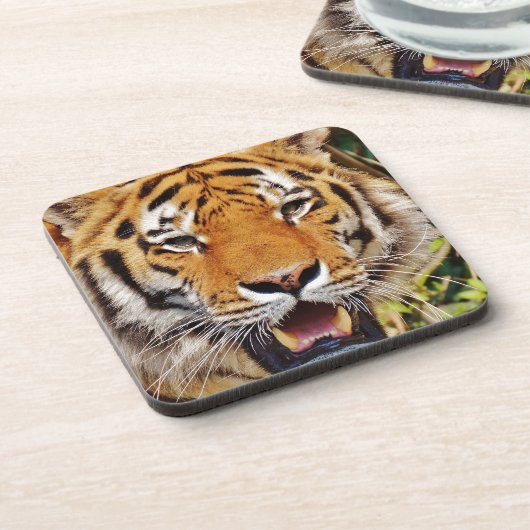 tijger bier onderzetter (Linkerzijde)