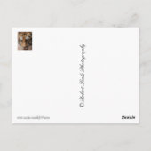 tijger briefkaart (Achterkant)