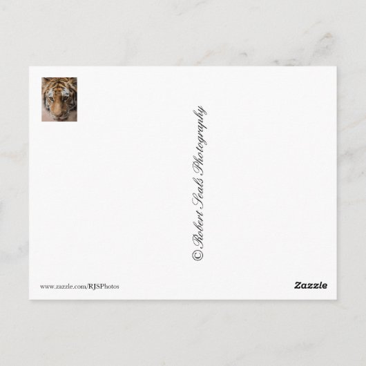 tijger briefkaart (Achterkant)