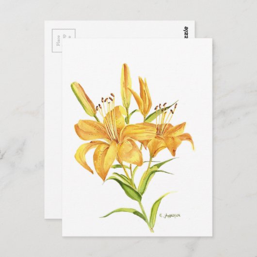 Tijger Briefkaart (Voorkant / Achterkant)