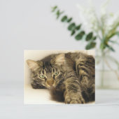 Tijger Briefkaart (Staand voorkant)